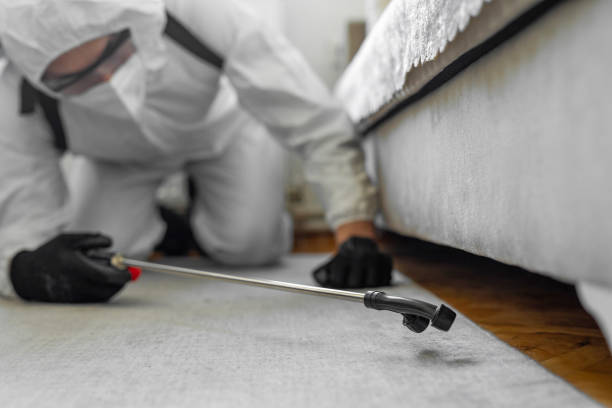 Professional Cockroach Control technician working in Ludington, MI