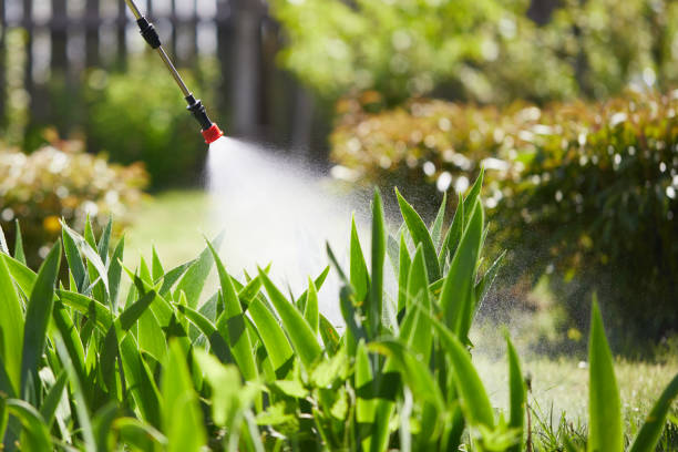 24/7 Emergency Cockroach Control experts in Ludington, MI