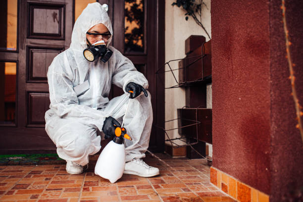 Reliable Cockroach Control contractor in Ludington, MI by Nex Pest Control