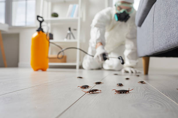 Trusted Bed Bug Control service in Ludington, MI - Nex Pest Control