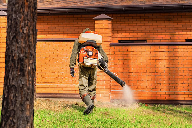 Trusted Rodent Control service in Ludington, MI - Nex Pest Control